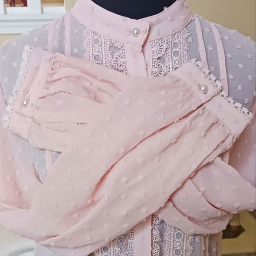 POL Swiss Dot Lace Accent Pale Pink Blouse NWOT  Small - Picture 3 of 13